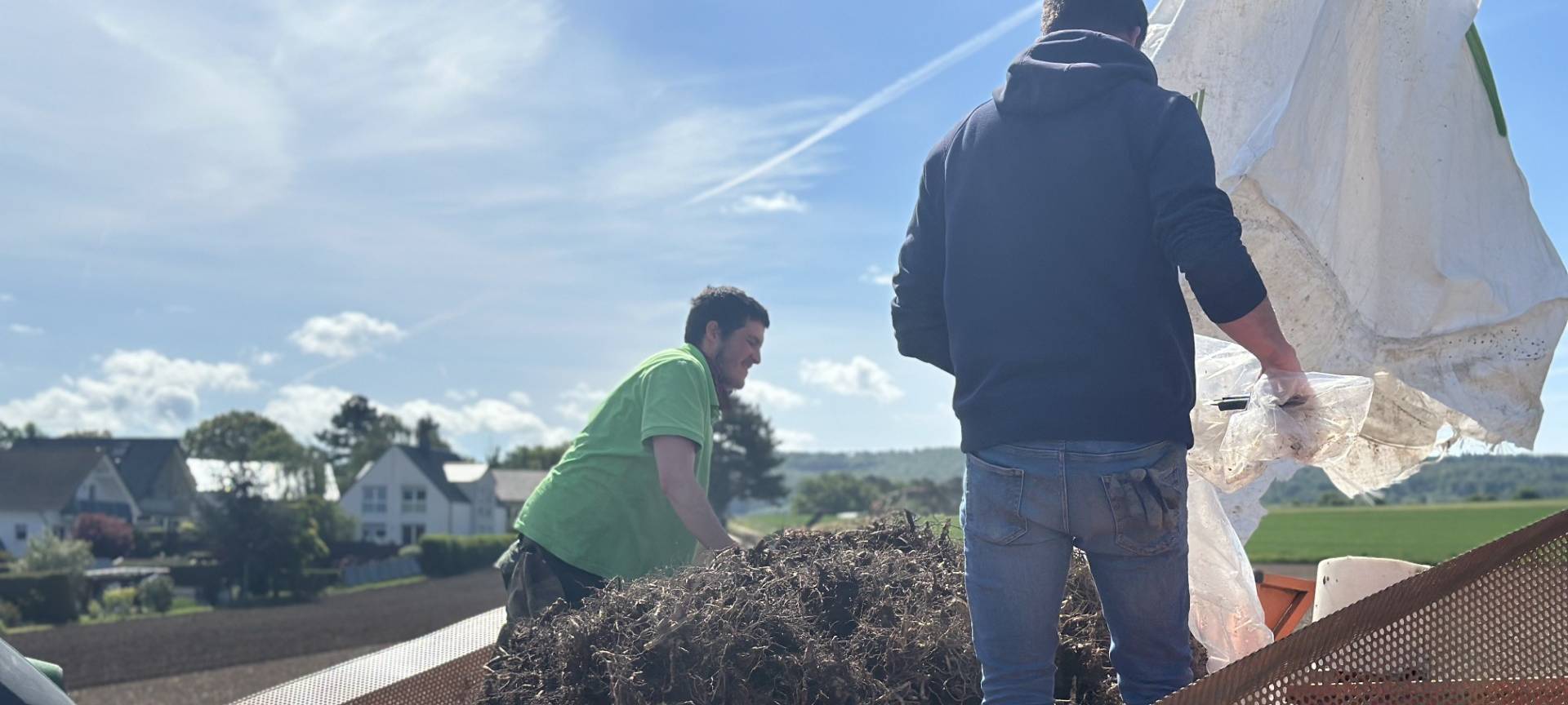 Besondere Pflanze als Schutz gegen Hochwasser