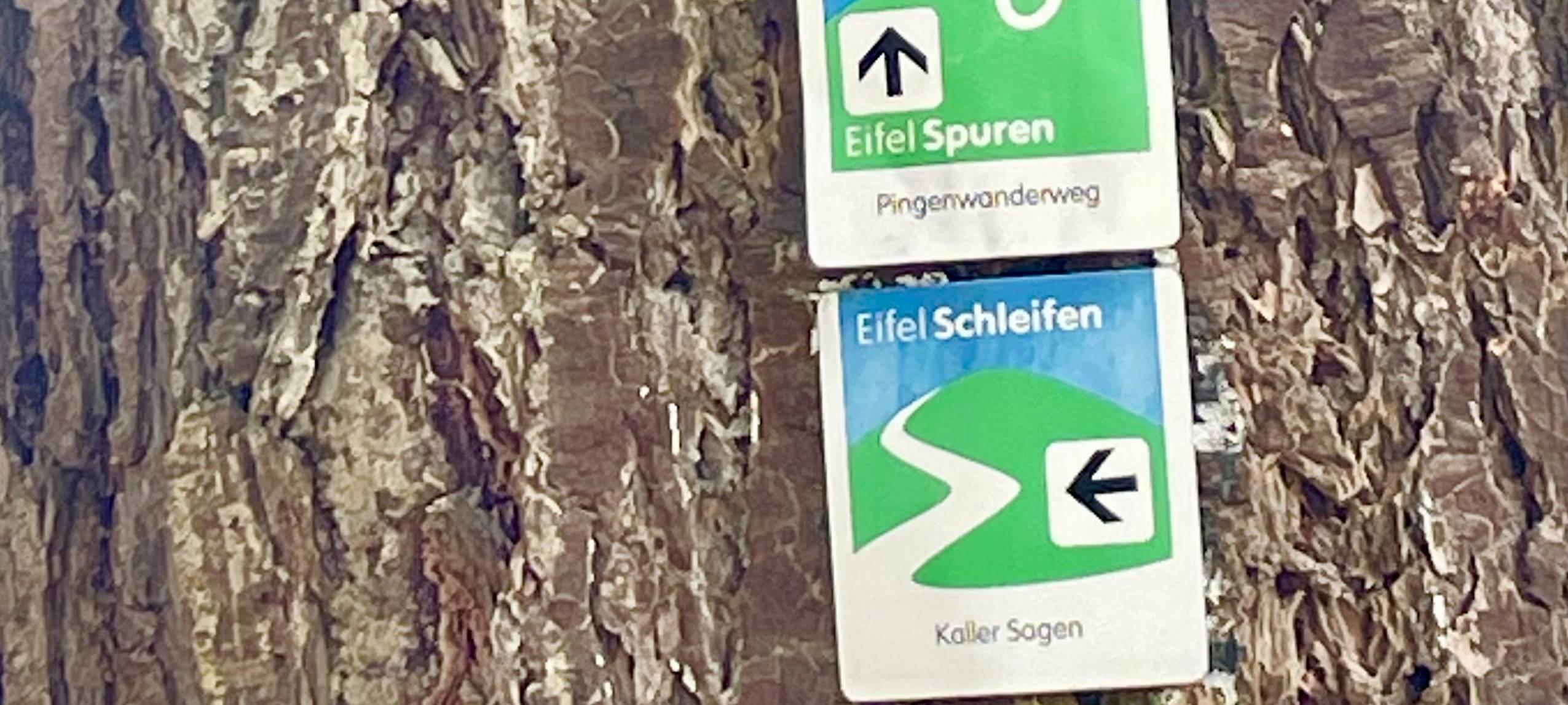 EifelSchleife "Kaller Sagen" ist Wanderweg des Jahres