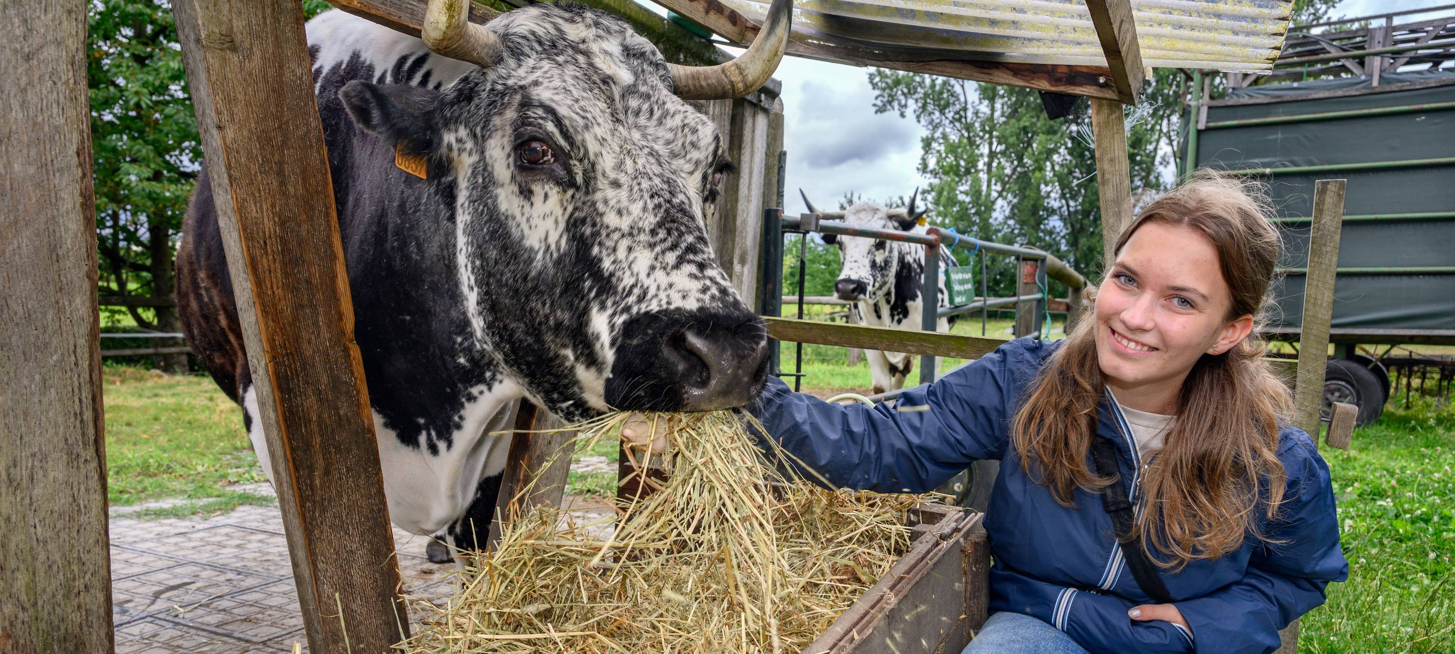 Mit Freiwilligem Jahr die Natur im Kreis Euskirchen schützen