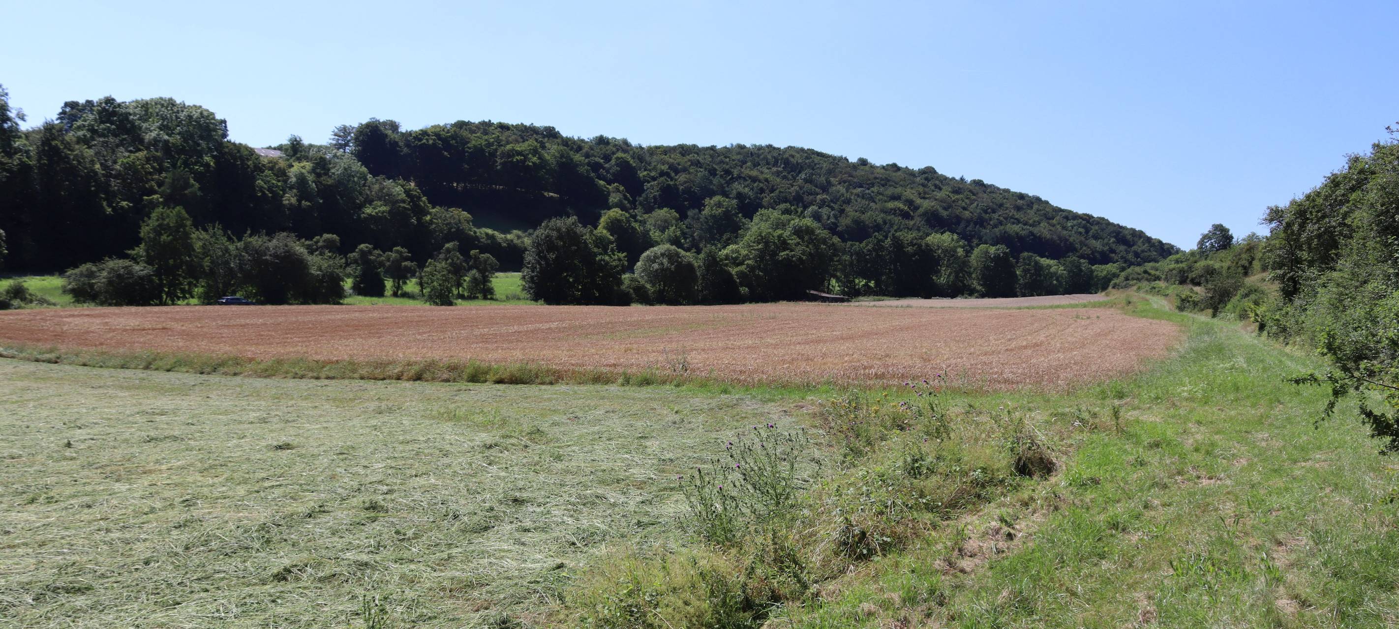 Mehr Hochwasserschutz für Bad Münstereifel