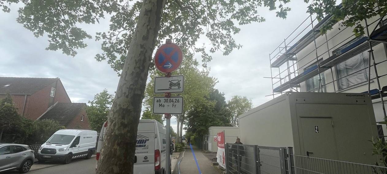 Bäume in Euskirchen müssen wegen Rohrbruch weichen