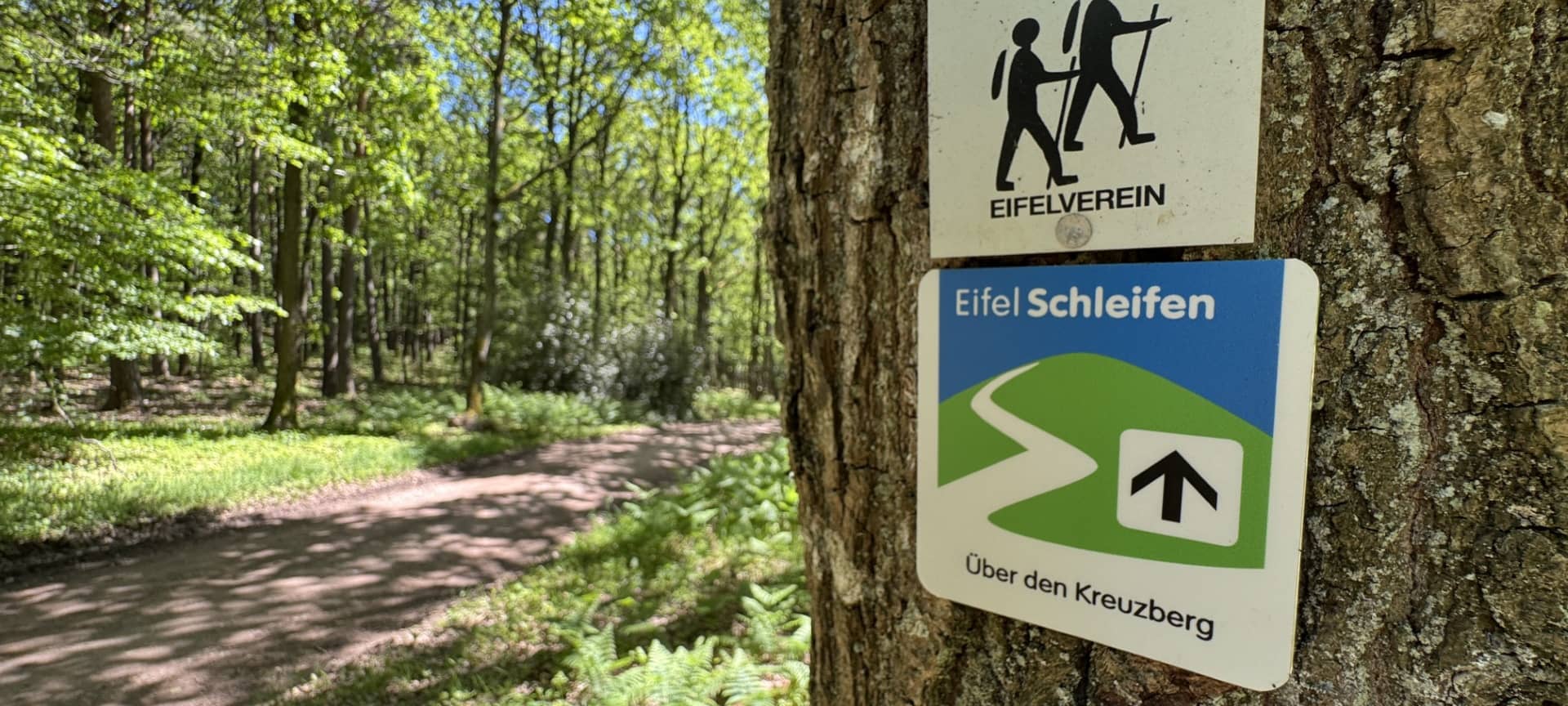 Ausbau von Rad- und Wanderwegen in Nordeifel geplant