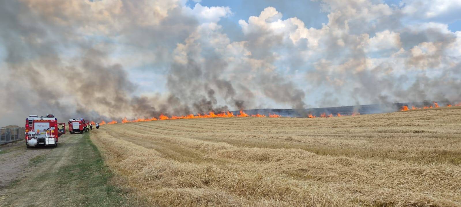 Feldbrand bei Burg Virnich