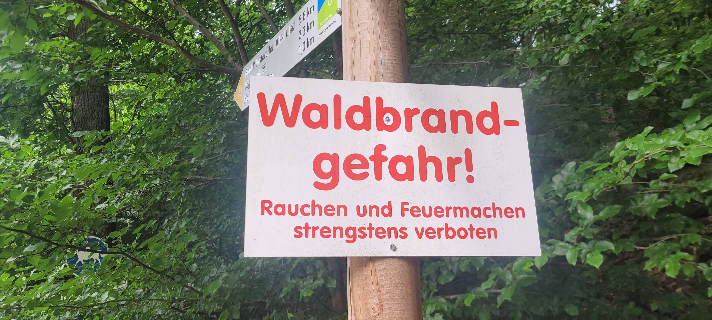 Waldbrandgefahr im Kreis Euskirchen steigt