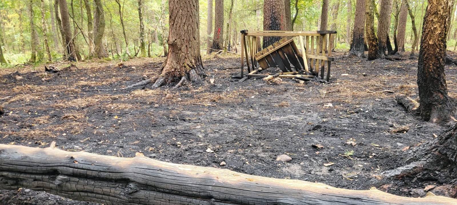 Waldbrand bei Mechernich-Voißel aus