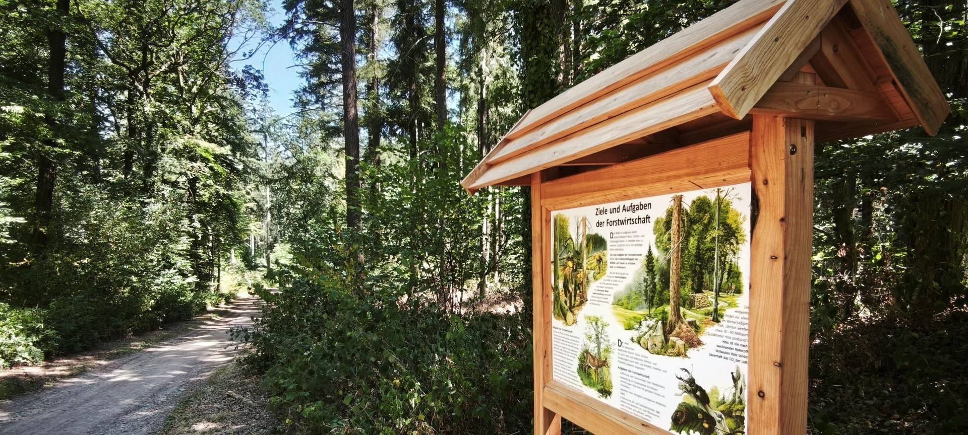 Infotafeln gegen Ordnung im Eickser Busch