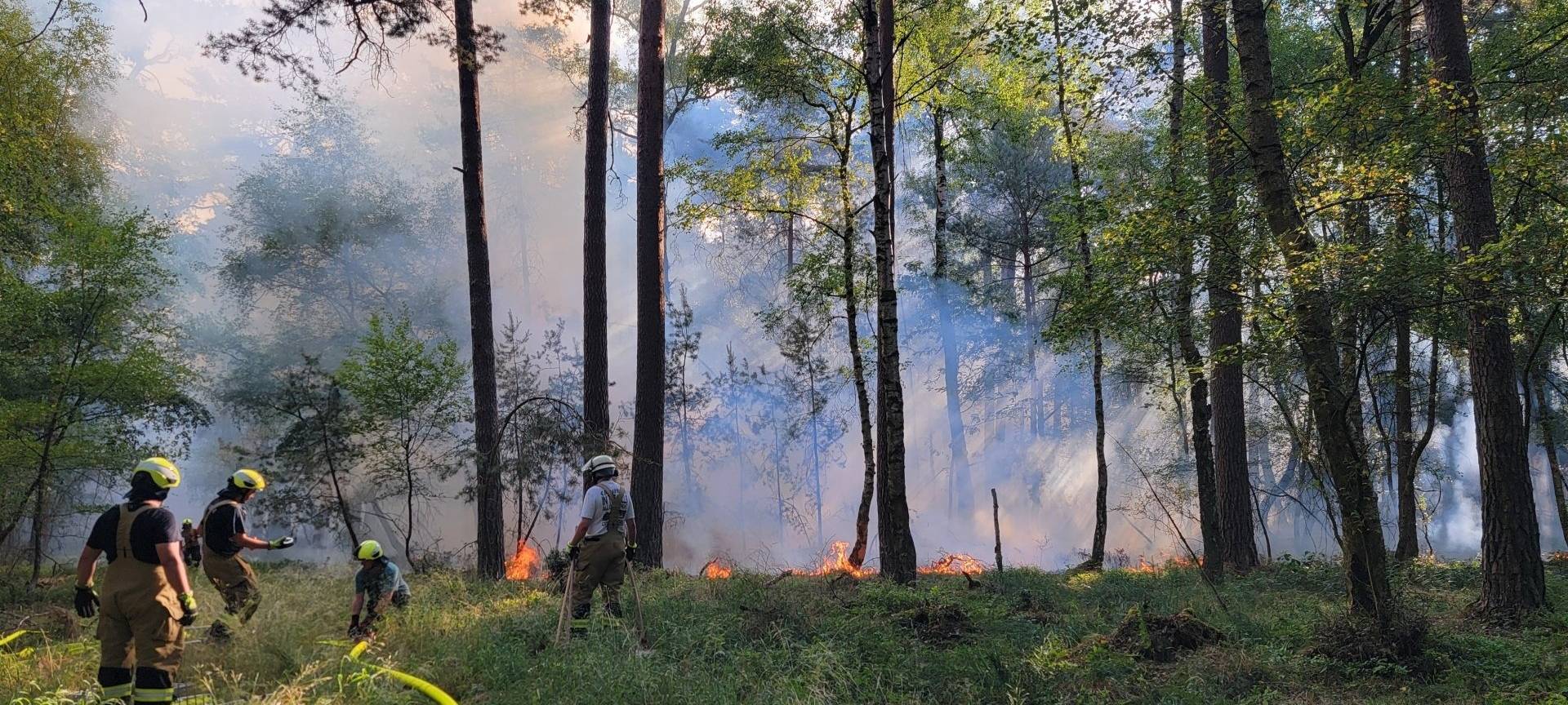 Nationalpark Eifel warnt vor Waldbrandgefahr