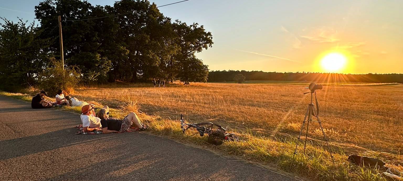 Kreis Euskirchen: Viele sehen Sonnenfinsternis