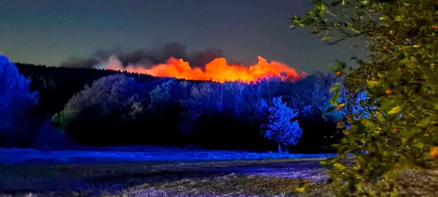 Waldbrand im Hürtgenwald entspannt sich
