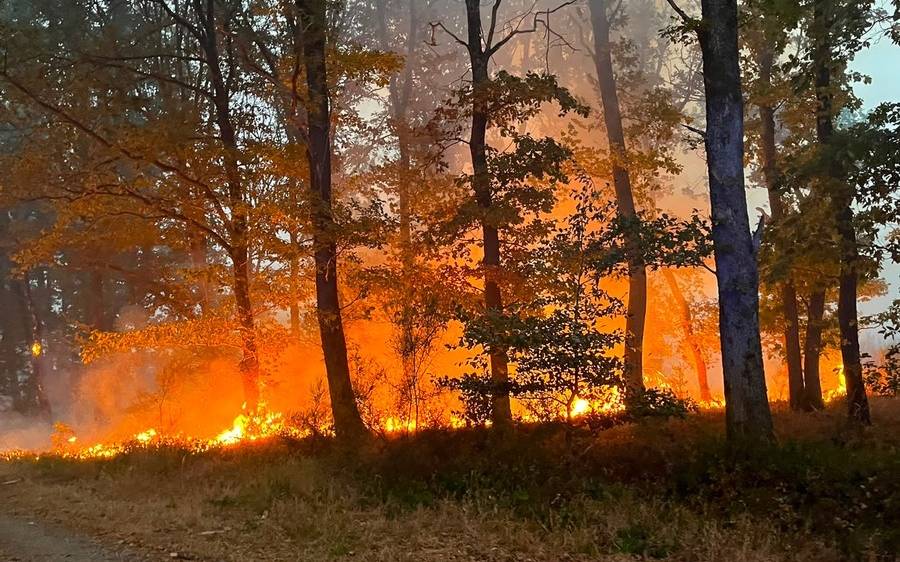 Evakuierung wegen Waldbrand in der Eifel bei Hürtgenwald
