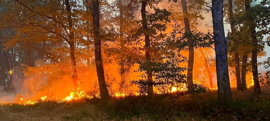 Evakuierung wegen Waldbrand in der Eifel bei Hürtgenwald