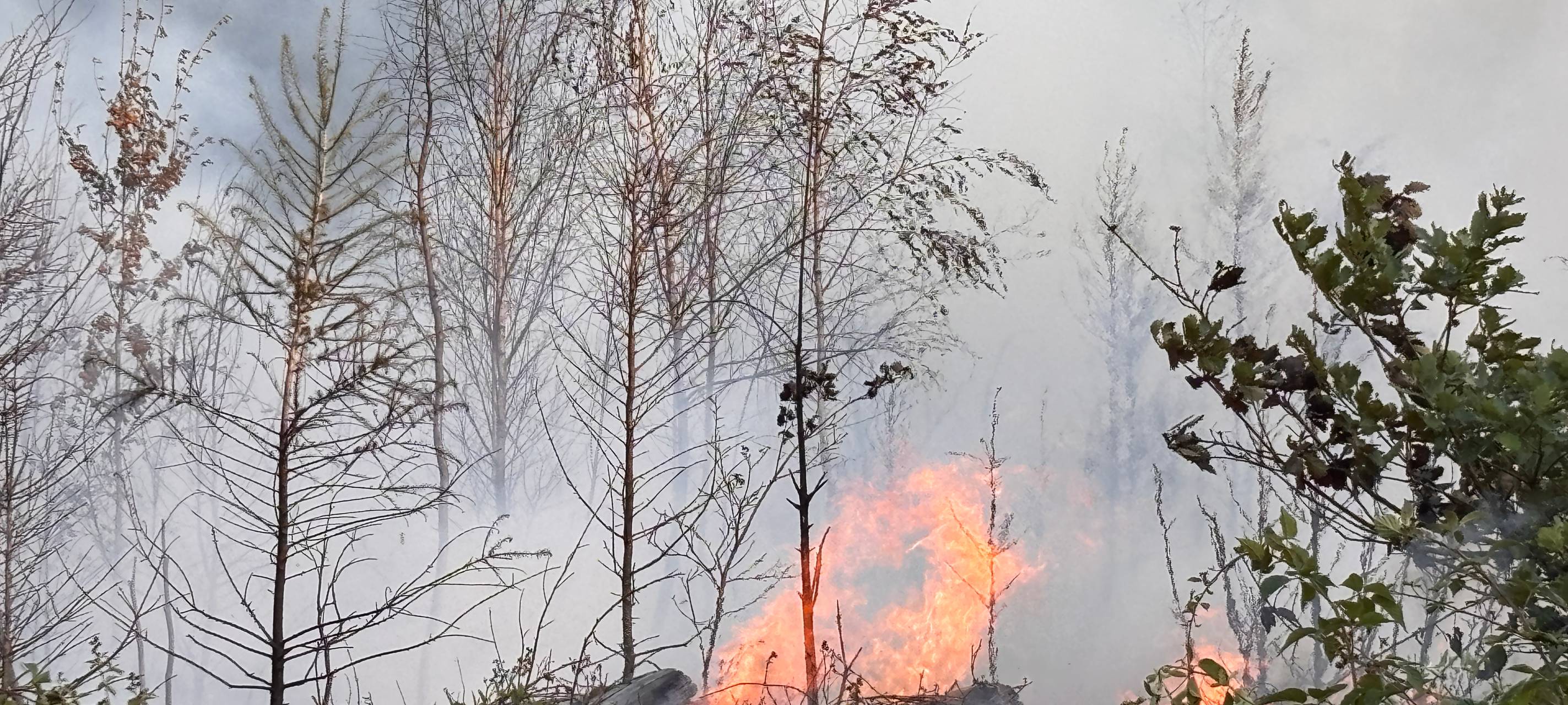 Feuer auch in Euskirchener Ortsteilen