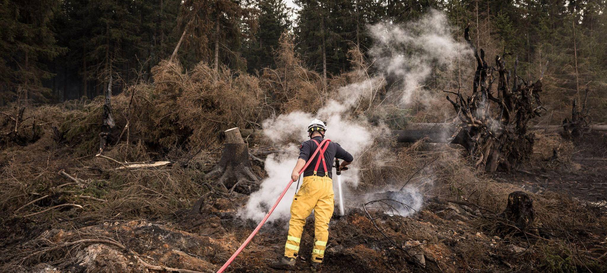 Waldbrand im Hohen Venn