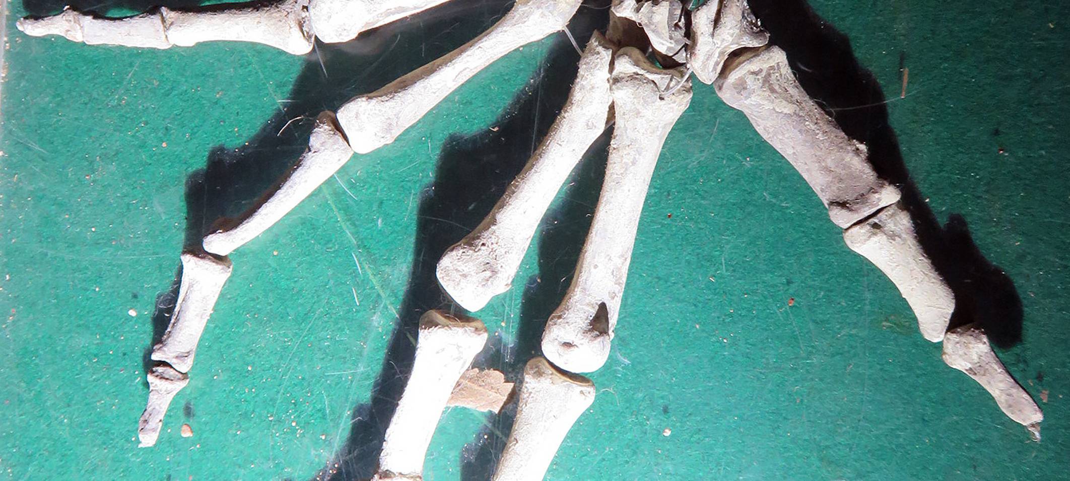 Strafverfahren nach Videodreh im Euskirchener Bunker