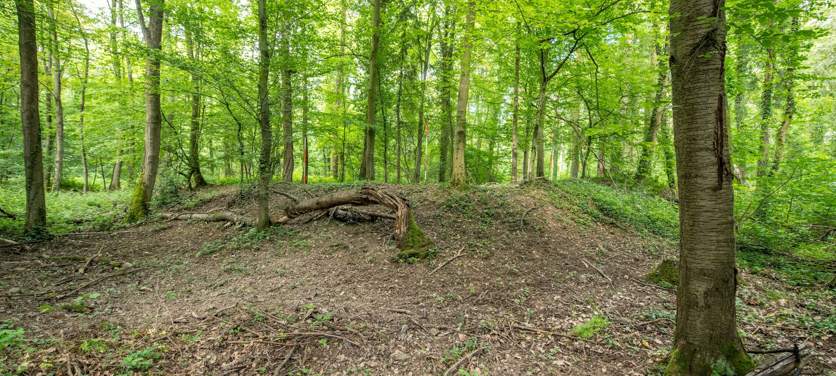 Archäologietour Nordeifel am 04.10.26