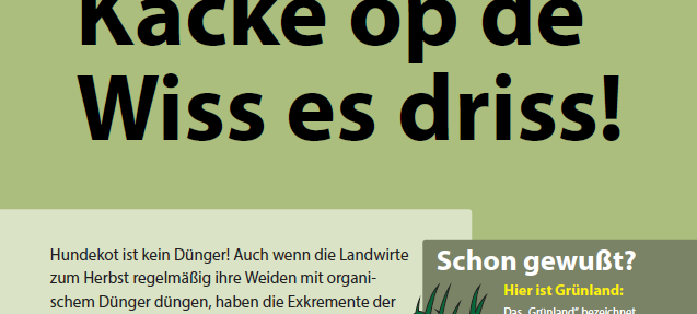 Blankenheim geht gegen Hundekot vor